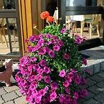 Konukevi Gaestehaus Petra 3*