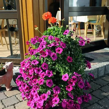 بيت ضيافة Gaestehaus Petra 3*