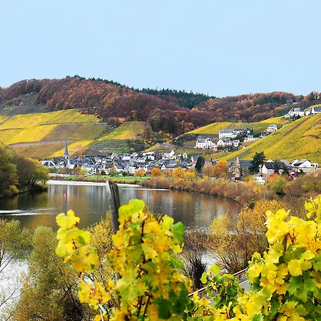 Pensionat Gaestehaus Petra 3*