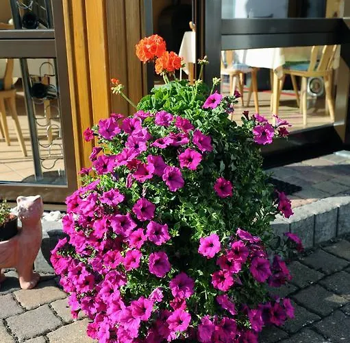 Pensionat Gaestehaus Petra 3*