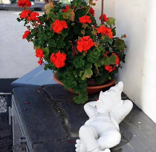 Gaestehaus Petra Ürzig